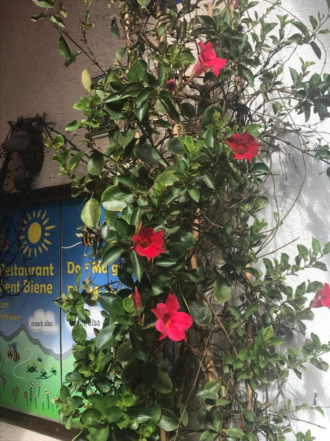 TavanasaAlte Post Mit Geschichte Und Restaurant公寓 外观 照片